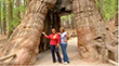Yosemite/ Madera Film Commission