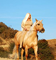 Wild West Film Festival